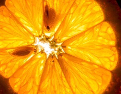 Backlit citrus slice, vibrant yellow-orange hues, detailed texture
