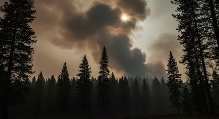 Smoke cloud over silhouetted trees creating environmental concerns at dusk