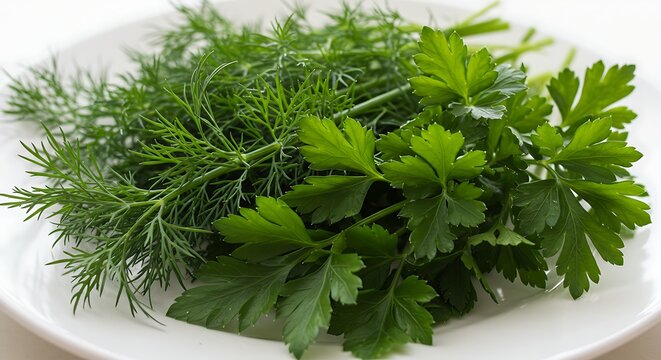 Fresh dill and parsley on white plate for culinary and food concepts