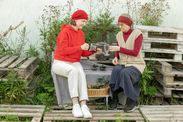 women drink chokeberry tea