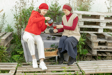 women drink chokeberry tea