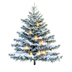 Fototapeta premium Snow covered evergreen Christmas tree shines with candle lights on transparent background