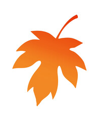 Isolated Orange Maple Leaf Fall Autumn Season, Transparent  Background
