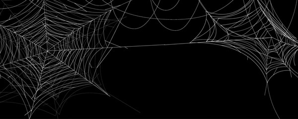 Spider web abstract Halloween background. Vector banner design