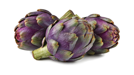 Set of artichokes isolated on a white background