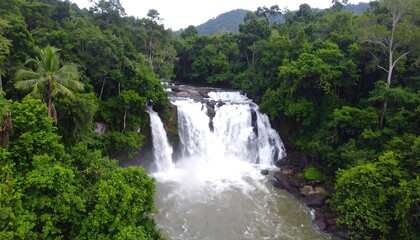 Fototapeta premium Lush waterfall cascading through dense jungle