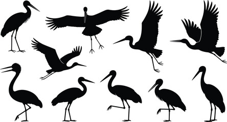 Set of nine crane and heron bird silhouettes in various poses including standing, flying, and taking off for design use