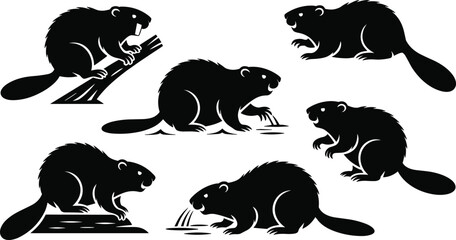 Beaver silhouette illustration, wildlife vector, animal poses, nature art, black beaver clipart, forest creature, rodent graphic, stock design