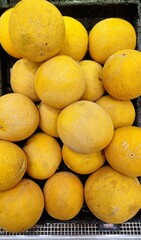 Background of yellow melons on the store, card or concept for advertising a store, proper nutrition, vitamins. seasonal fruits