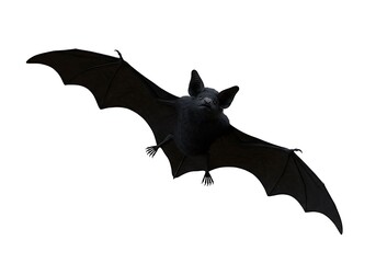 Obraz premium Flying bat silhouette
