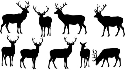 Set of deer silhouette illustration. Deer icon set vector design.