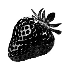 strawberry on a white background