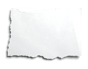 Obraz premium Blank, torn piece of white paper