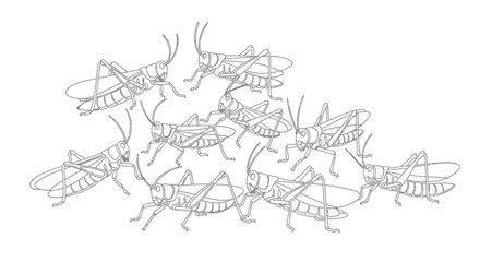 Line Art of a Swarm of Locusts or Grasshoppers Together on a White Background