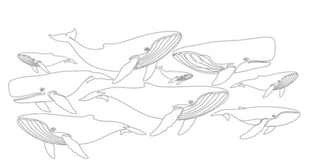 Fototapeta premium Illustrative depiction of various whales swimming gracefully as a cohesive pod