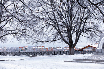 Winter atmospheric landscape with frost-covered dry plants during snowfall. Winter Christmas background