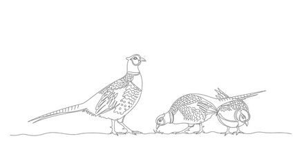 Fototapeta premium Pheasants foraging in a Natural Habitat, Illustration, Serene Environment, Artistic Viewpoint, Captivating Concept