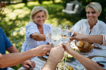 Multigenerational family toasting during outdoor barbecue party.