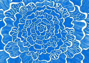 Abstract drawing of a large flower, resembling a rose or a carnation. Created by hand with white lines on a solid blue background, giving the image a distinct graphic style. Crumped paper texture.