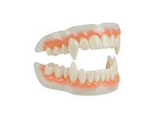 Obraz premium Vampire teeth prosthetic