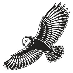 vector illustration of a bird