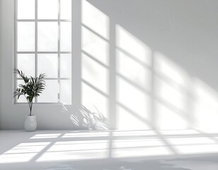 White room with large window, sun shadows, and plant