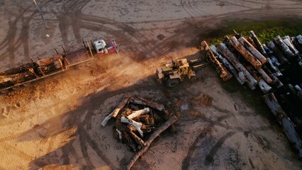 Logging equipment moves timber in a forest clearing at sunset surrounded by dirt and tire tracks