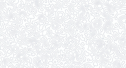 Abstract Topographic Contour Lines on White Background