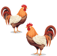 Set of Two beautiful male roosters isolated on white background , vector illustration design.