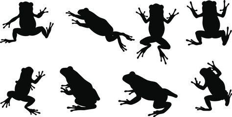 Frog silhouette, jumping frog, amphibian pose, animal movement, wildlife illustration, frog anatomy, dynamic leap, nature design, black silhouette, vector art