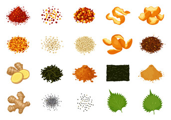 Assorted culinary spices herbs and ingredients are arranged on a plain white background © Chico Store