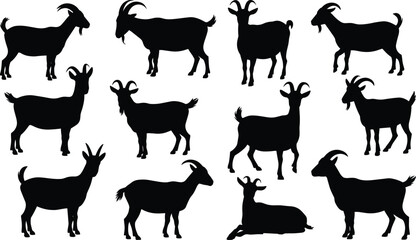 Goat silhouettes, farm animals, black vector goats, livestock illustration, horned goat poses, walking goats, standing goats, lying goat, animal clipart
