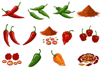 Collection of various peppers red green orange whole sliced and powdered