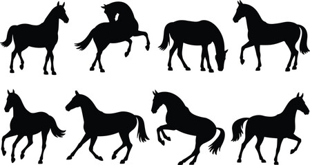 Horse silhouette collection, black horse poses, equine vector set, grazing horse, rearing horse, walking horse, trotting horse, animal illustration