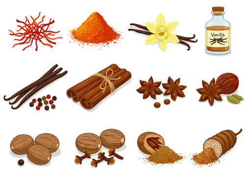 Spices arranged in an organized manner including saffron vanilla cinnamon cloves star anise and nutmeg