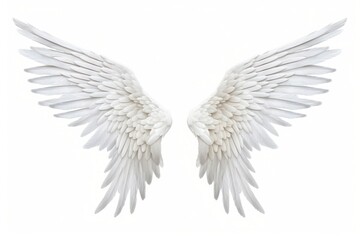 Obraz premium Angel angel white wing.