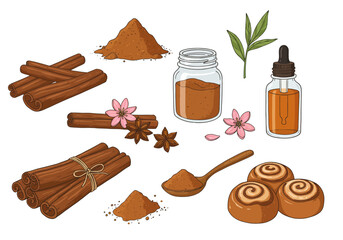 Stilllife vector illustration of various cinnamon products