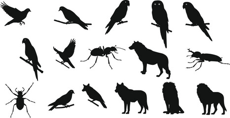 Wild animals and birds silhouette vector illustration with lions, wolves, parrots, pigeons, ants, beetles, nature collection