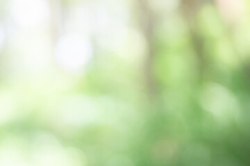 Soft abstract blur of natural green tones, suggesting foliage and sunlight in a forest or garden. Ideal for backgrounds, design, or nature-themed compositions.