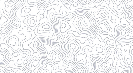 Abstract topographic map pattern with thin grey contour lines on a white background.