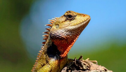 Lizard portrait against blurred background