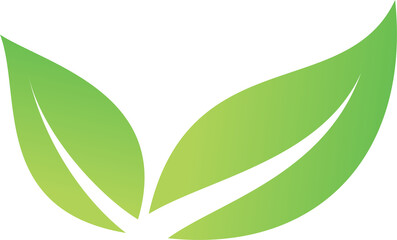 Green leaf organic icon