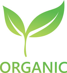 Green leaf organic icon