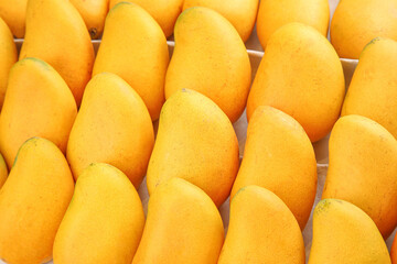 Fresh Tainong Mangoes from Hainan China - Golden Tropical Fruit Display at Local Market