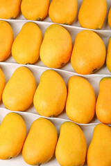Fresh Tainong Mangoes from Hainan - Premium Yellow Tropical Fruit in Market Display Packaging