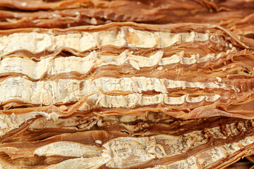 Layered Sedimentary Rock Formation with Golden Strata - Natural Geological Background Texture