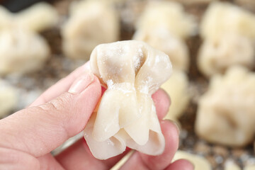 Freshly Made Handmade Dumpling Wonton with Clear Wrapper Held in Hand Traditional Asian Cuisine Preparation