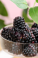 Fresh Ripe Blackberries in Glass Bowl with Green Leaves - Healthy Organic Fruit Photography