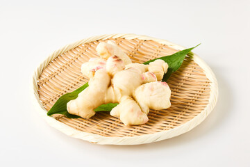 新生姜（Japanese Young Ginger） 日本の香味野菜