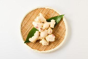 新生姜（Japanese Young Ginger） 日本の香味野菜